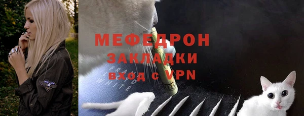 тгк Абаза